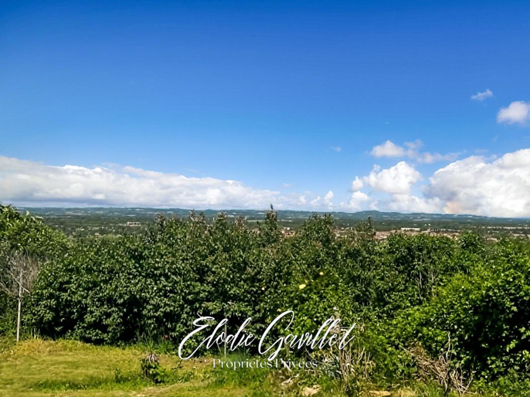 REVEL Charmante maison familiale avec vue panoramique sur Revel et la Montagne Noire 8