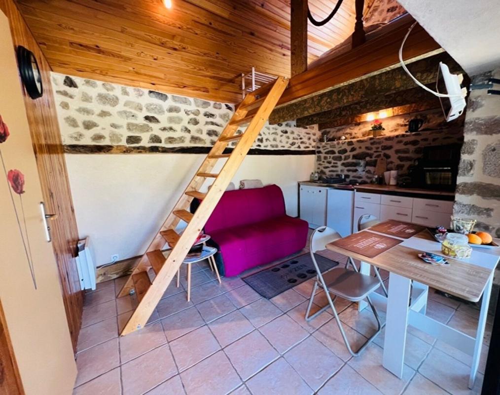 SAINT-MARTIN-LA-MEANNE Maison Saint Martin La Meanne 5 pièce(s) 225 m2 12