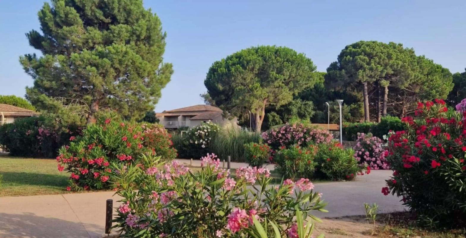 LECCI Appartement T4 Résidence Fiori di Cala Rossa  Lecci, Porto-Vecchio 11