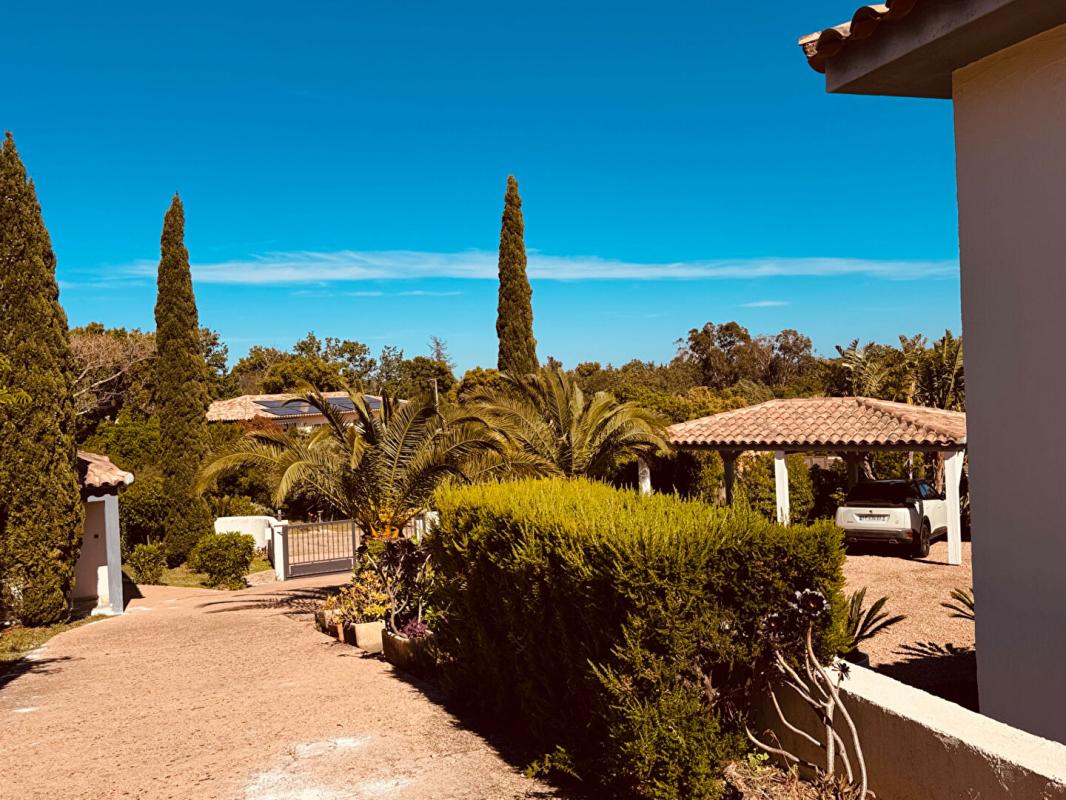ZONZA Maison Sainte Lucie De Porto Vecchio 269 m2 10