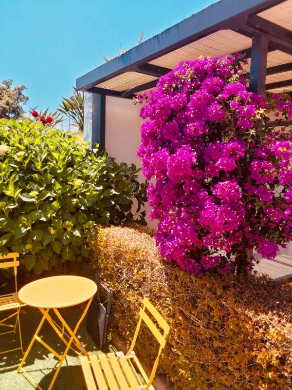 ZONZA Maison Sainte Lucie De Porto Vecchio 269 m2 15