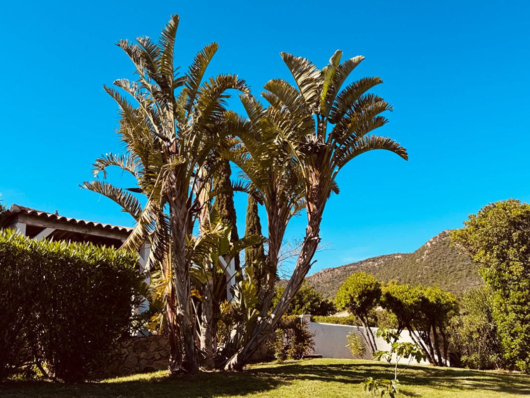 ZONZA Maison Sainte Lucie De Porto Vecchio 269 m2 5