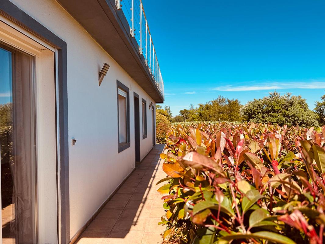 ZONZA Maison Sainte Lucie De Porto Vecchio 269 m2 7