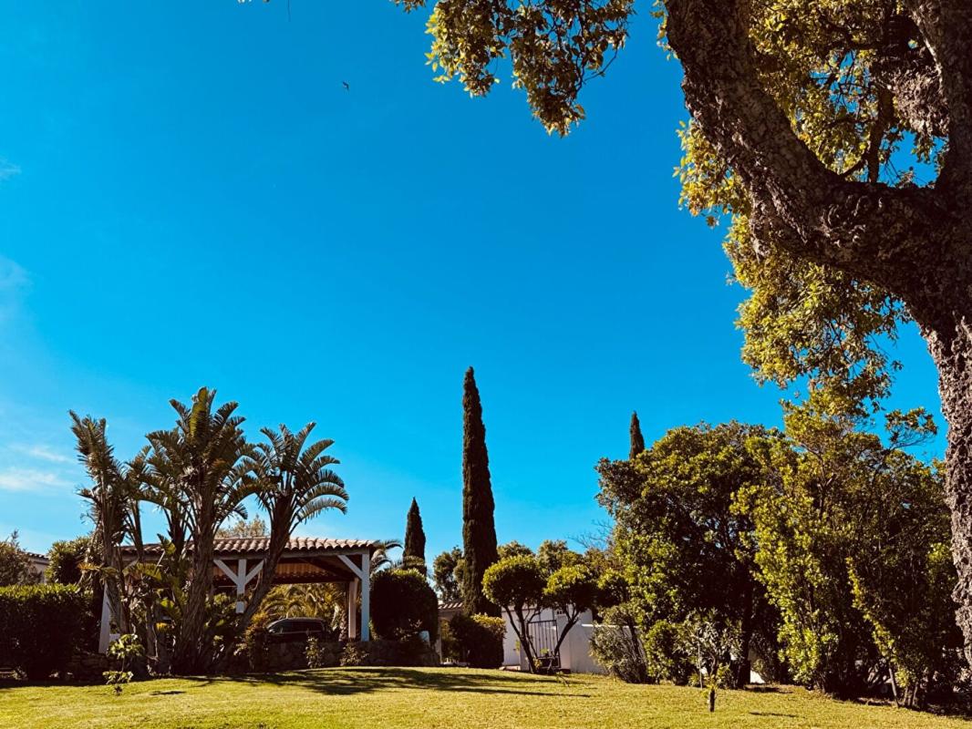 ZONZA Maison Sainte Lucie De Porto Vecchio 269 m2 9