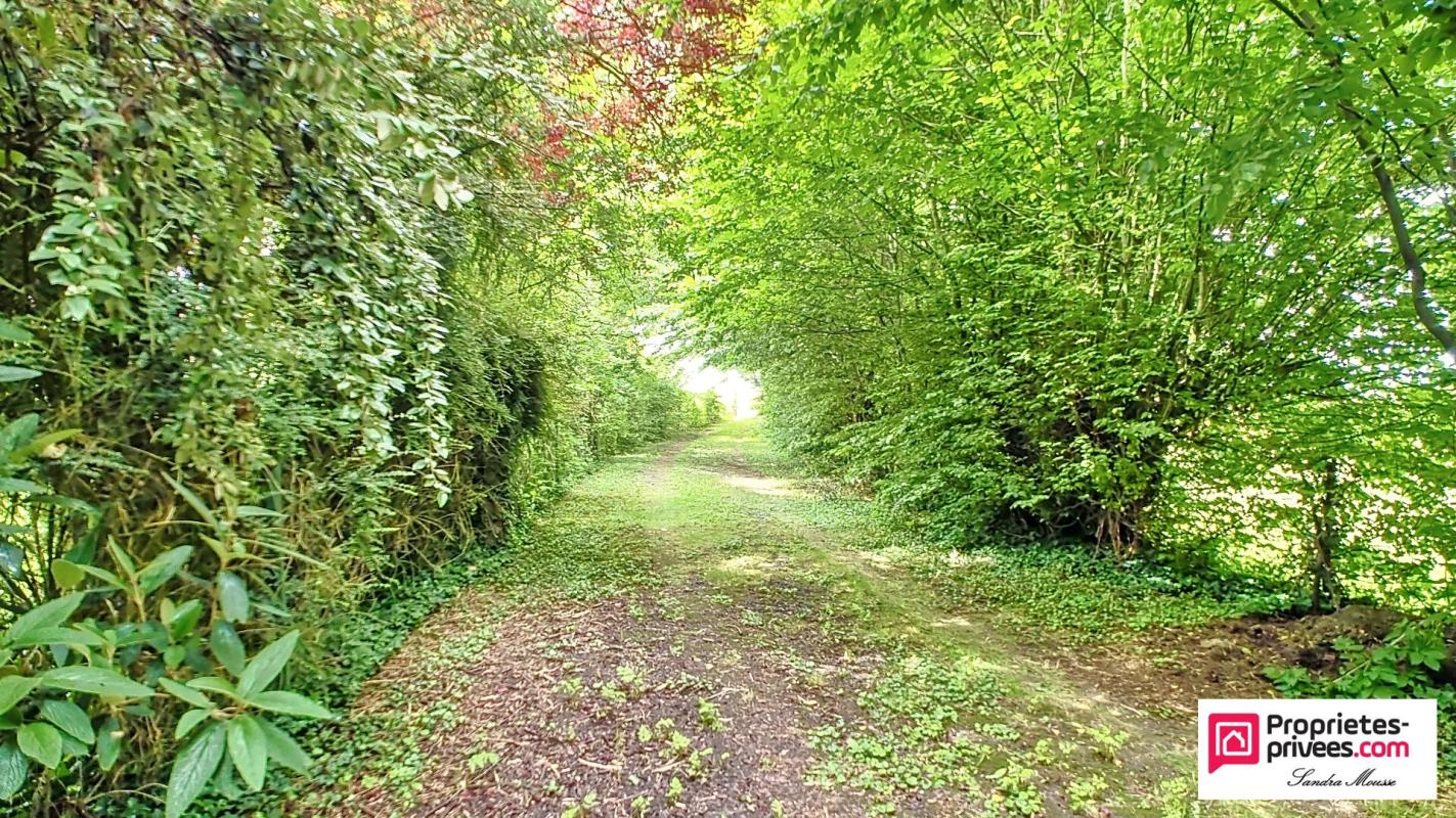 LIEUVILLERS 2 MAISONS INDÉPENDANTES  IDÉAL GÎTE OU INVESTISSEMENT 18