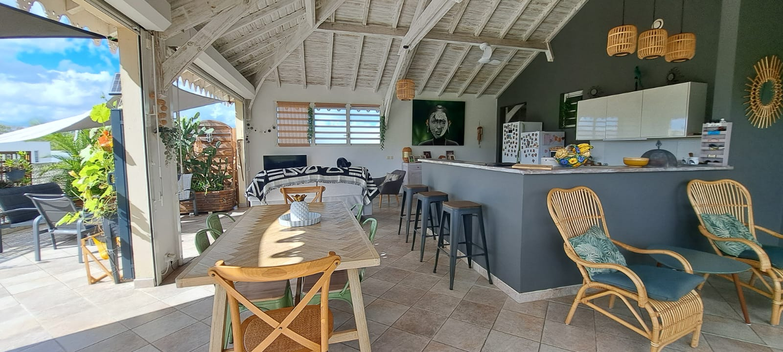 LES TROIS-ILETS Penthouse d'Exception aux Trois-Îlets : 126 m², 47 m² de terrasse, garage et cave inclus 6