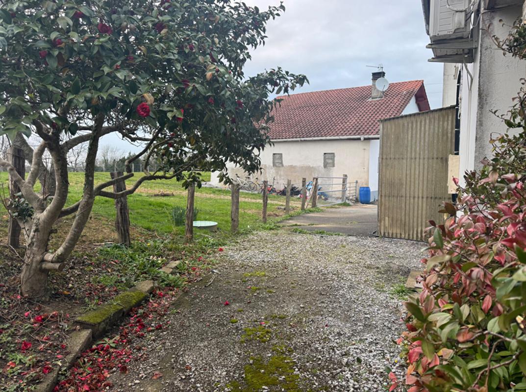 ARCANGUES Appartement Arcangues T4 jardin avec travaux 6