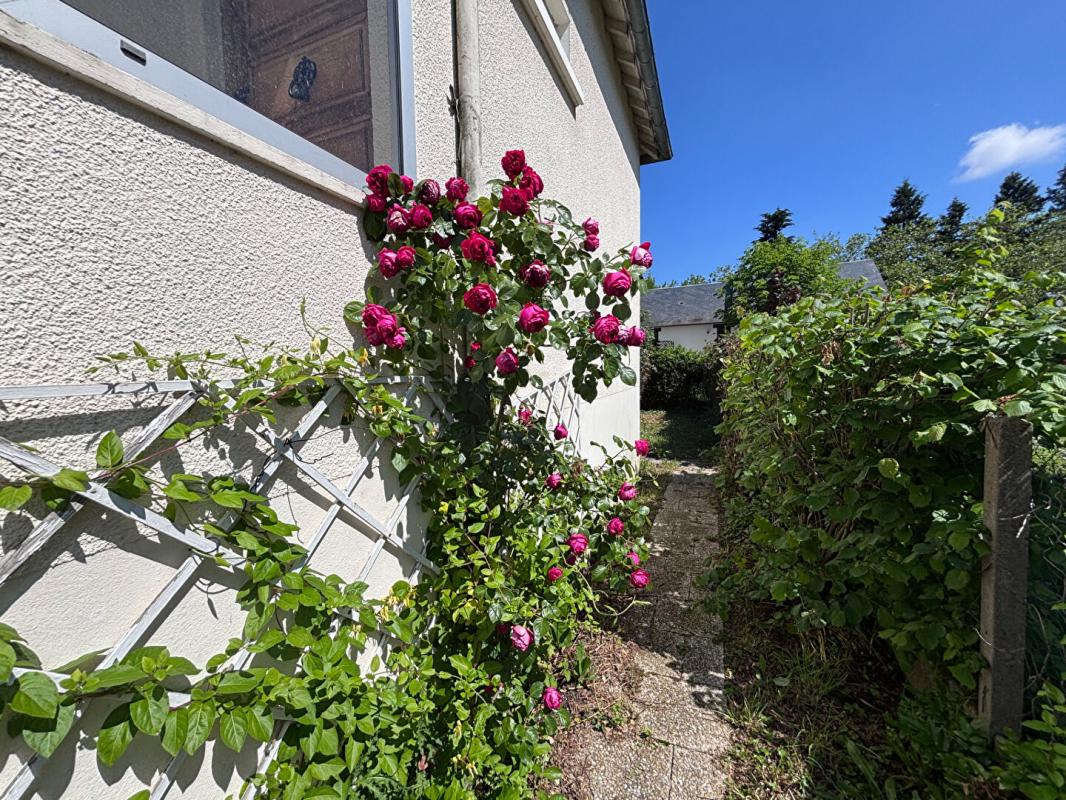 BLOIS Maison Blois 3 pièce(s) 60 m2 2