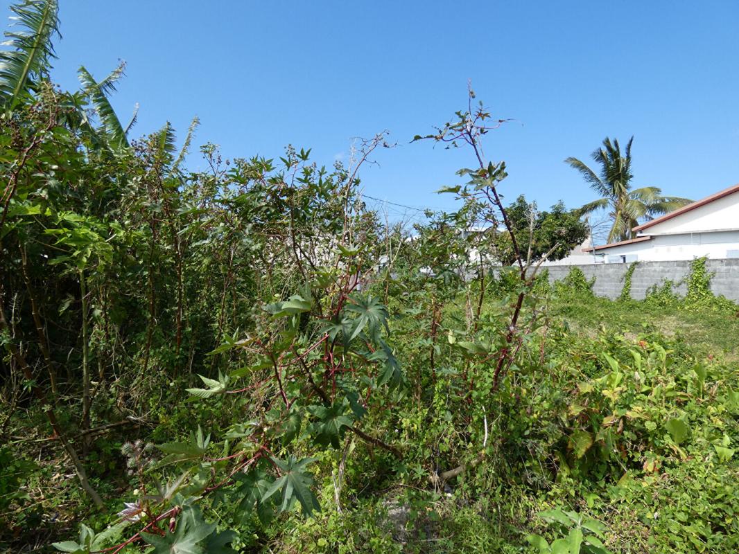 SAINT-BENOIT 97470 Saint Benoit terrain constructible 511 m2 en zone Ua13 2