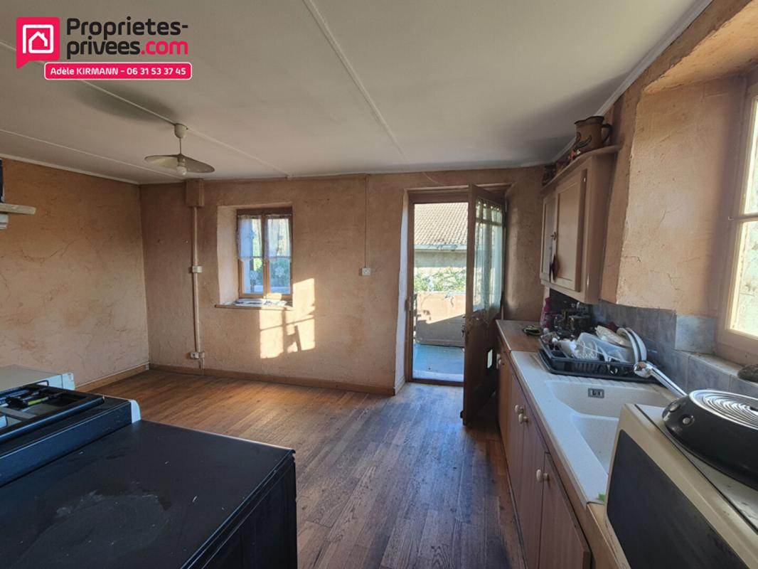 FARGES Ferme Gessienne et terrain constructible - Farges 01550 10