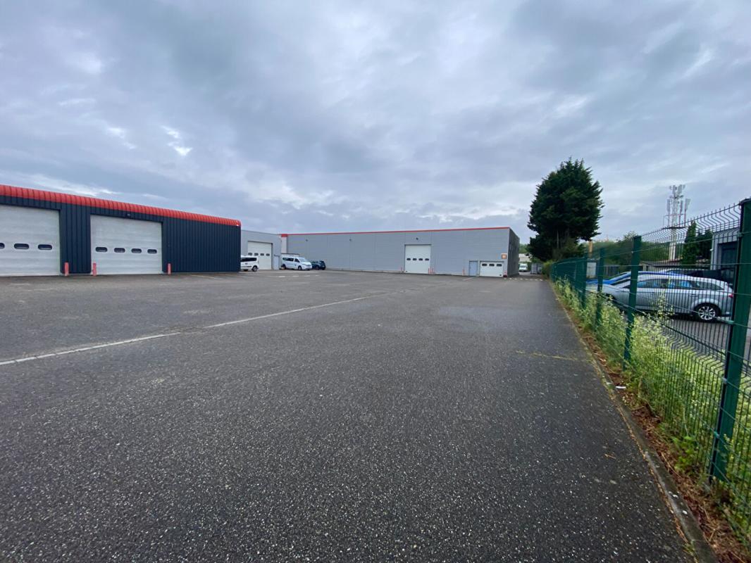 WITTENHEIM Ensemble immobilier mixte Entrepôts + bureaux + logements+terrain Wittenheim 68720 2