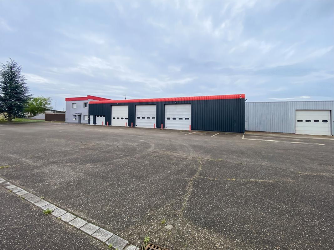 WITTENHEIM Ensemble immobilier mixte Entrepôts + bureaux + logements+terrain Wittenheim 68720 3