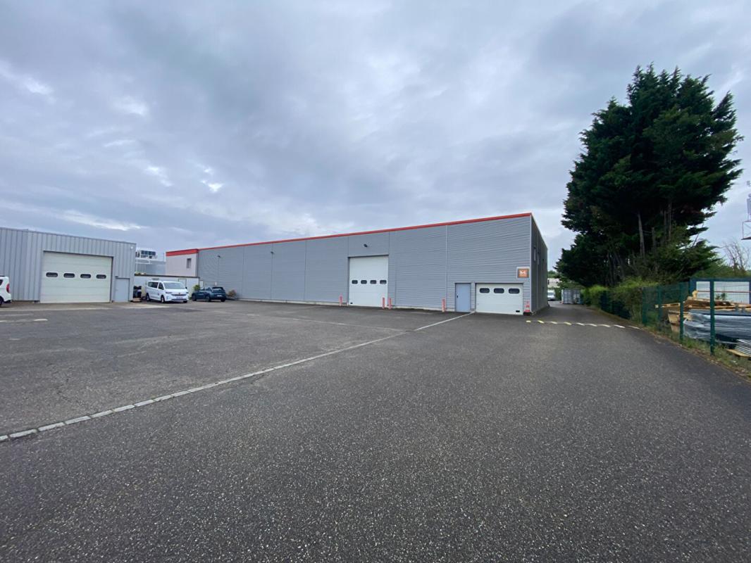 WITTENHEIM Ensemble immobilier mixte Entrepôts + bureaux + logements+terrain Wittenheim 68720 4
