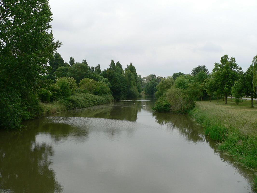 GENNES Propriété fort potentiel Saint Martin de la Place 3