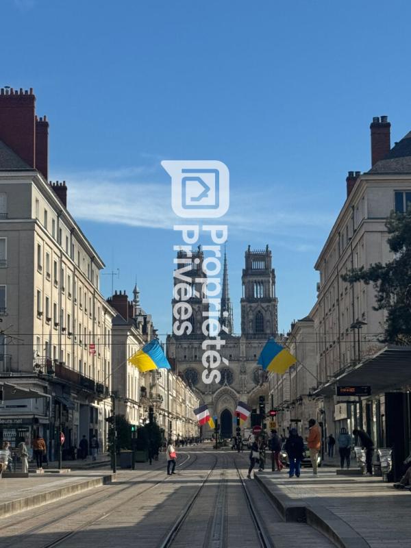ORLEANS EXCLUSIVITE A VENDRE 45000 Orleans Appartement T2 pièces 37 M² ascenseur / parking 12