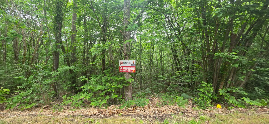 BOULAZAC Terrain boisé constructible, d'une surface de 2361 m², CU opérationnel, sur la commune de Boulazac Isle Manoir 1