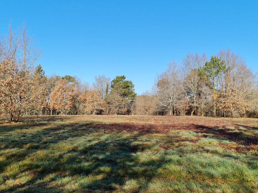 SAINT-LAURENT-DES-HOMMES 24400  proche Mussidan Terrain  en partie boisé de 11408 m² dont  constructible 4000m² 2 lots 1
