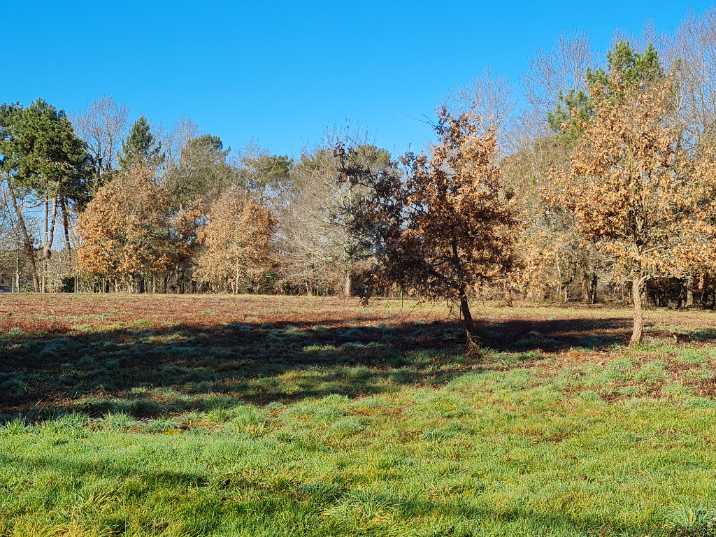 SAINT-LAURENT-DES-HOMMES 24400  proche Mussidan Terrain  en partie boisé de 11408 m² dont  constructible 4000m² 2 lots 3