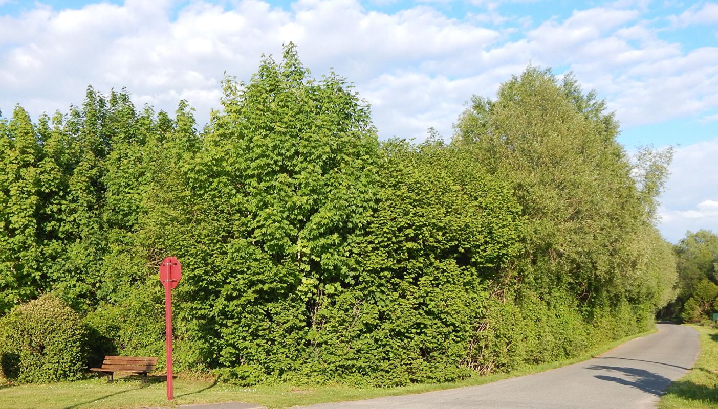 PONT-REMY Terrain constructible 2