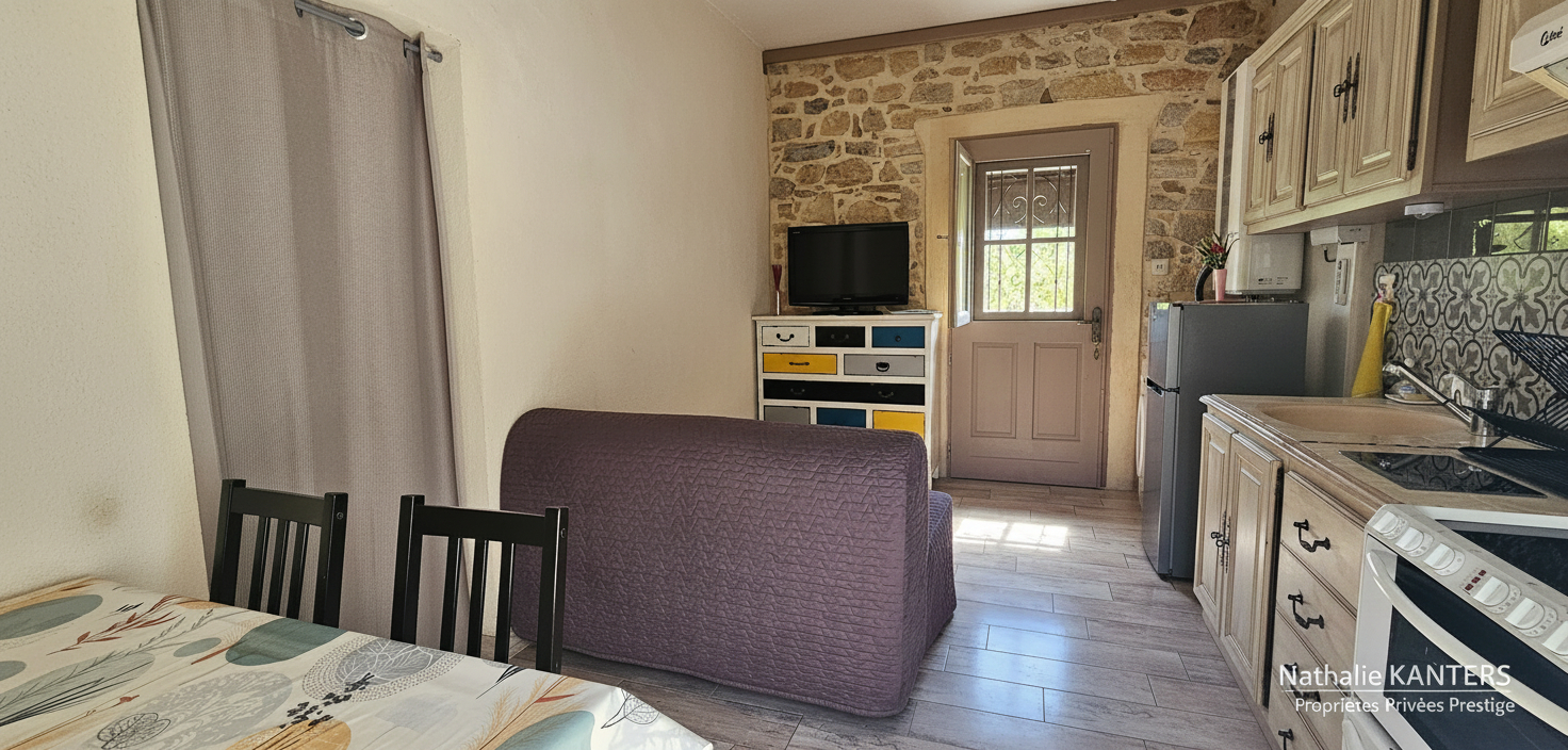 SOLLIES-PONT DEMEURE DE CARACTERE - SOLLIES - PONT 6