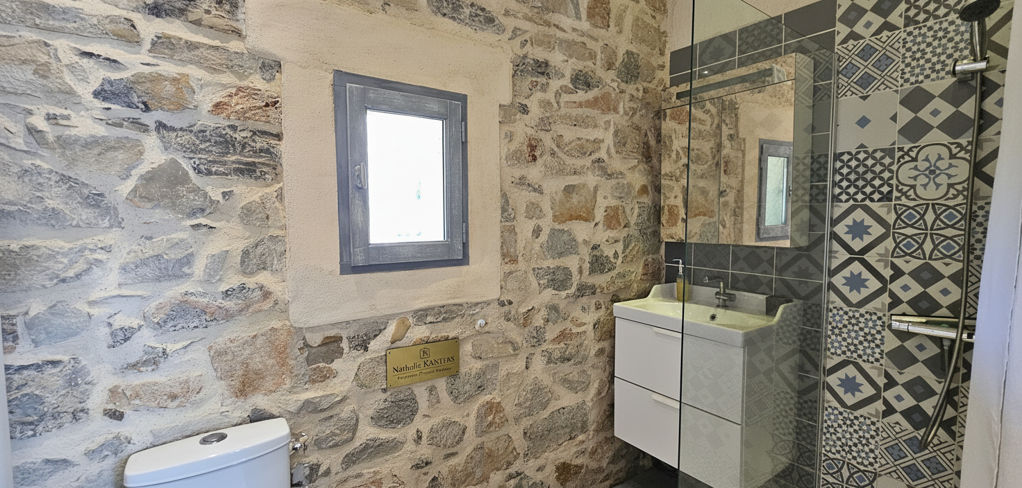 SOLLIES-PONT DEMEURE DE CARACTERE - SOLLIES - PONT 7