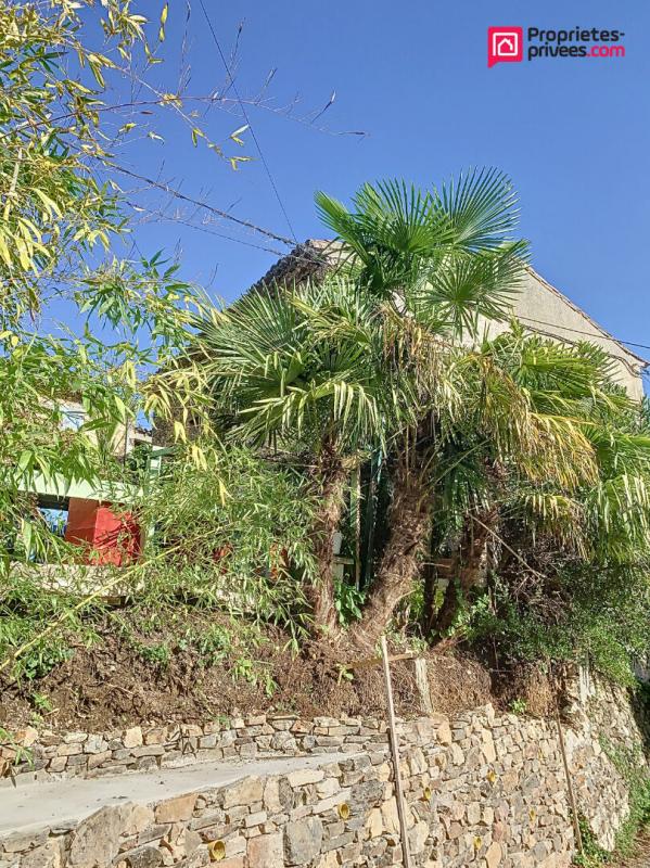 LE VIGAN Maison Le Vigan 7 pièce(s) 167 m2 15