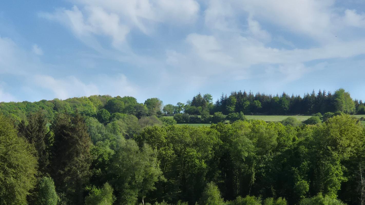 PLOURIN-LES-MORLAIX Belle néo bretonne de 1990 5
