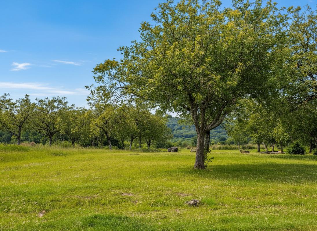 MARCILLAC-SAINT-QUENTIN Vente maison 117m2 Marcillac-Saint-Quentin (24200) 14