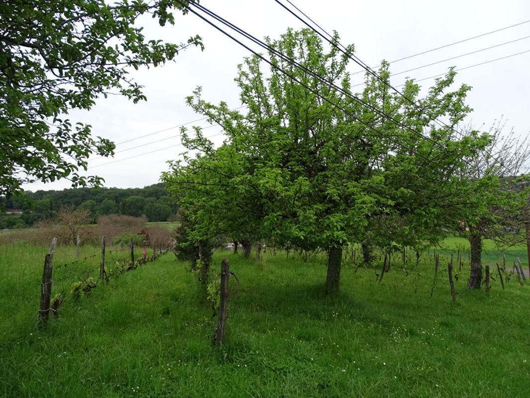 AUBAS Terrain Aubas 10 164 m2 2