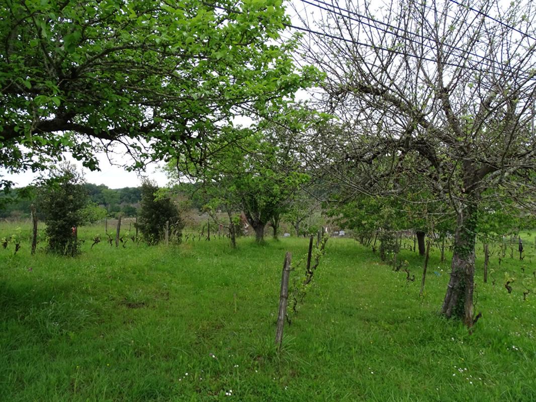 AUBAS Terrain Aubas 10 164 m2 6