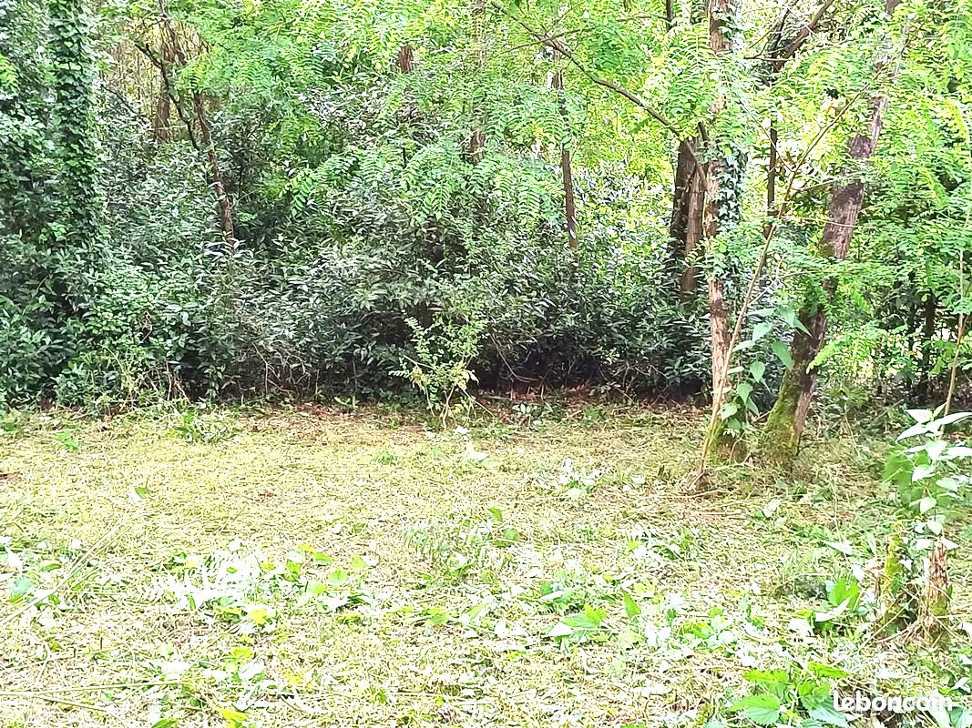 PESSAC Terrain  558 m2 1