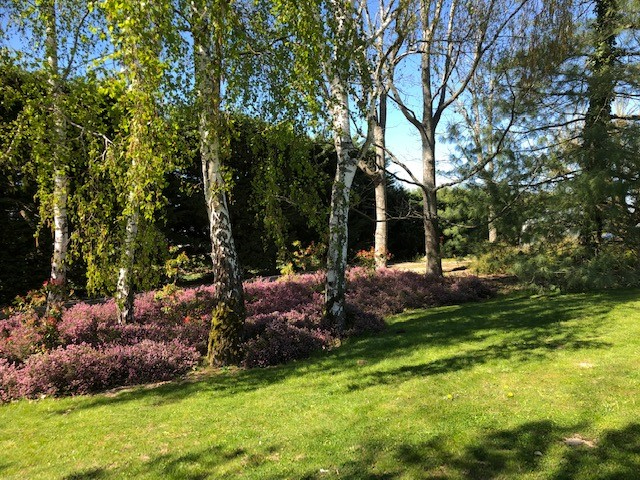 CHATEAUNEUF-SUR-LOIRE Propriété avec piscine à 2 pas de la Loire sur un parc arboré de 8900 m² à Germigny Des Prés 12