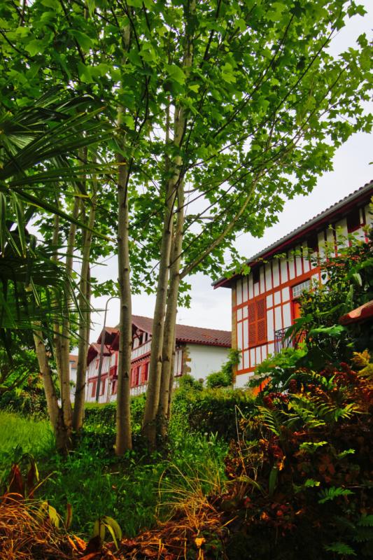 USTARITZ Maison de caractère au coeur du Pays basque 6
