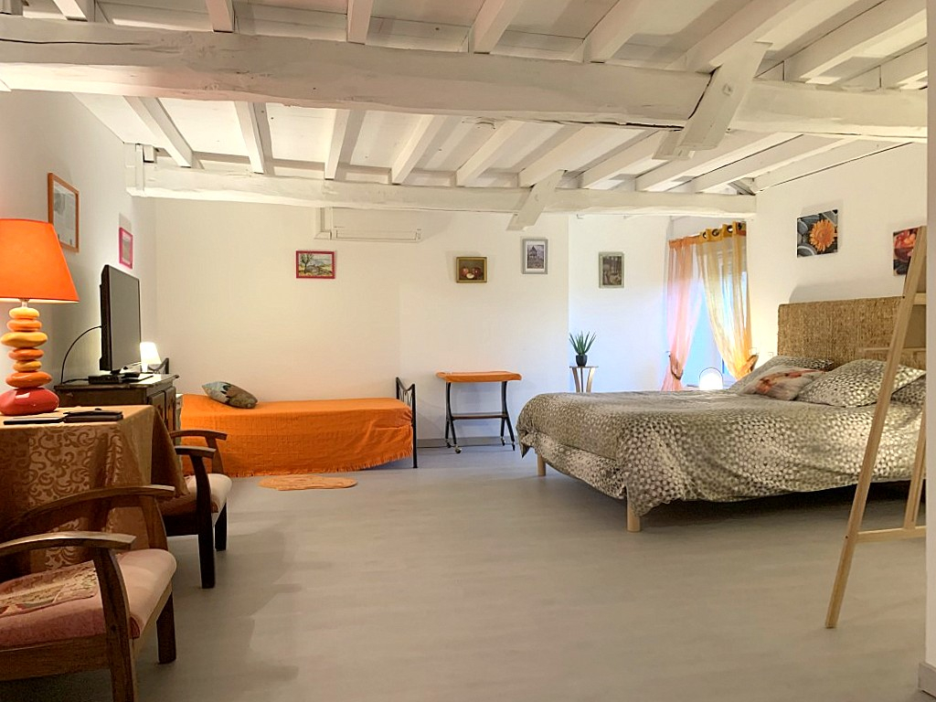 LABASTIDE-DU-VERT Maison en pierre 450 m² ? 6 chambres ? activité restaurant/chambres d'hôtes possible ? 10 min Prayssac 11