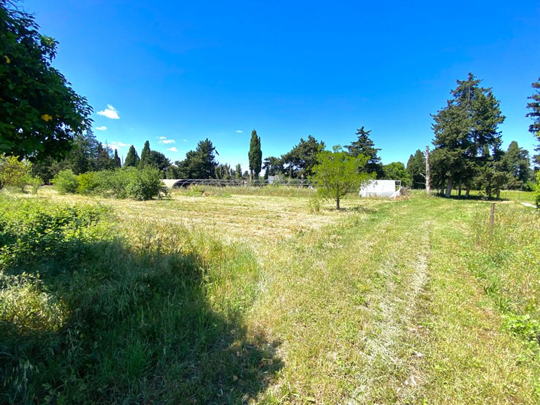 CHATEAURENARD Maison en Campagne 134 m2 sur 11 522 m2 de terrain 10