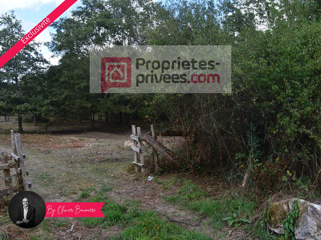 SAINTE-REINE-DE-BRETAGNE Terrain boisé de 30 000 m² 2