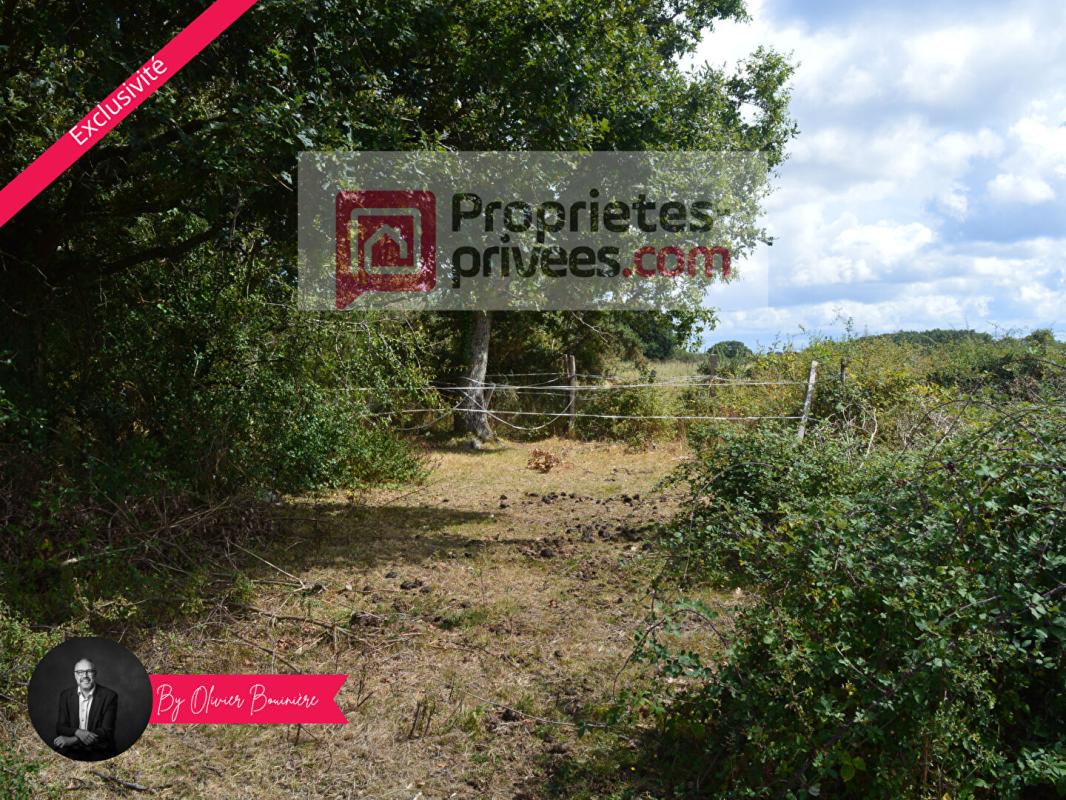 SAINTE-REINE-DE-BRETAGNE Terrain boisé de 30 000 m² 7