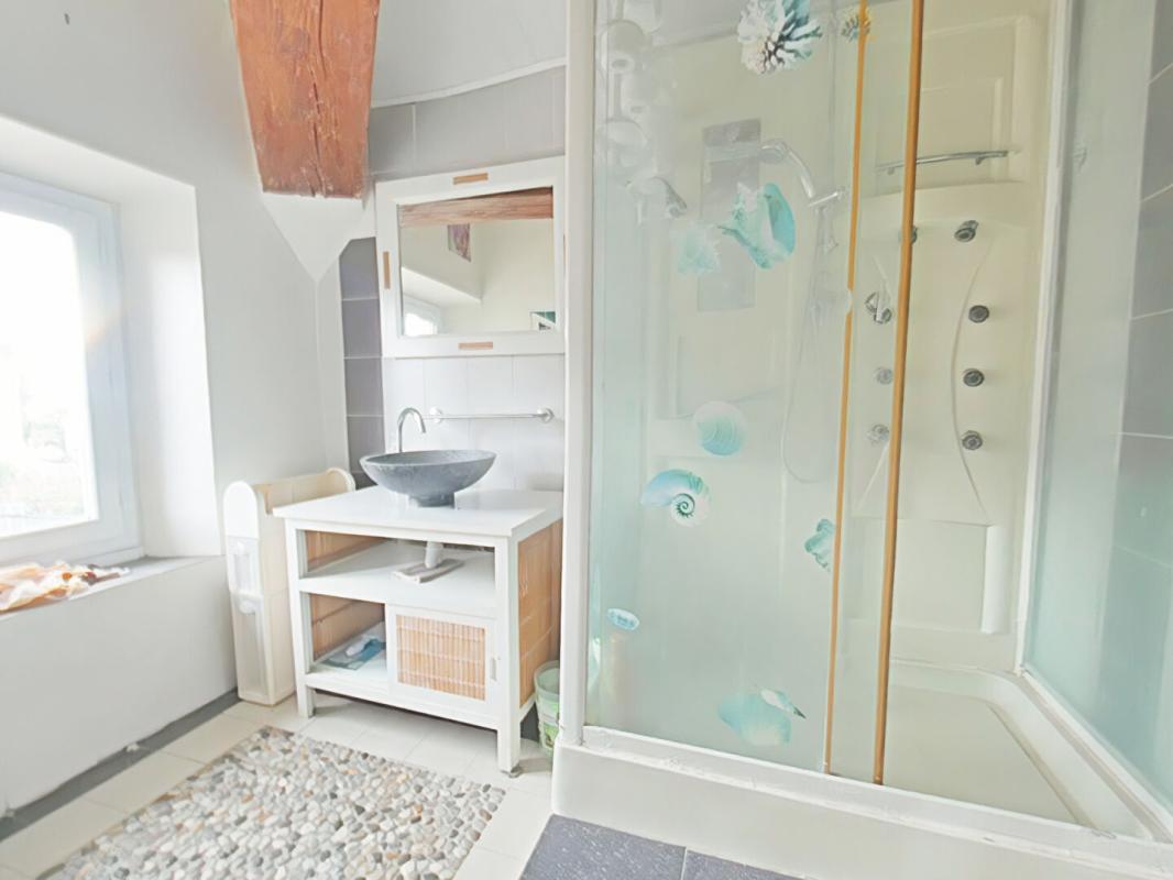 RAISSAC-D'AUDE Maison Raissac D Aude 9 pièce(s) 220 m2 avec garage et cour 9