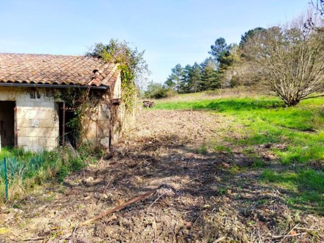 SAINTE-EULALIE PROPRIETE : MAISON EN PIERRE 150 m²  + ECHOPPE 120 m² + HANGAR 230 m² - TERRAIN 1 HECTARE 16