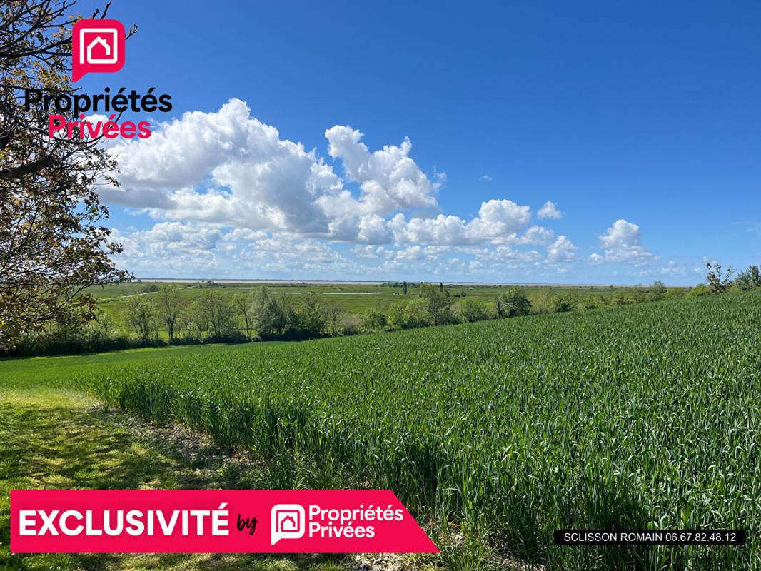 SAINT-THOMAS-DE-CONAC Exclusivité Propriété Saint Thomas De Conac - 145 m2 - 310m2 de dépendances- terrain 3871m2 - PRIX 214 219 HAI 13
