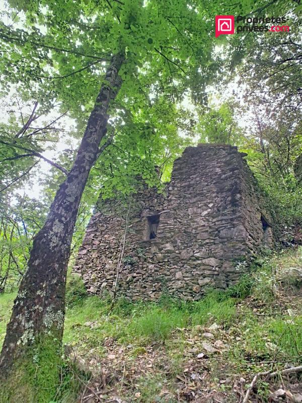 VALLERAUGUE Maison 17