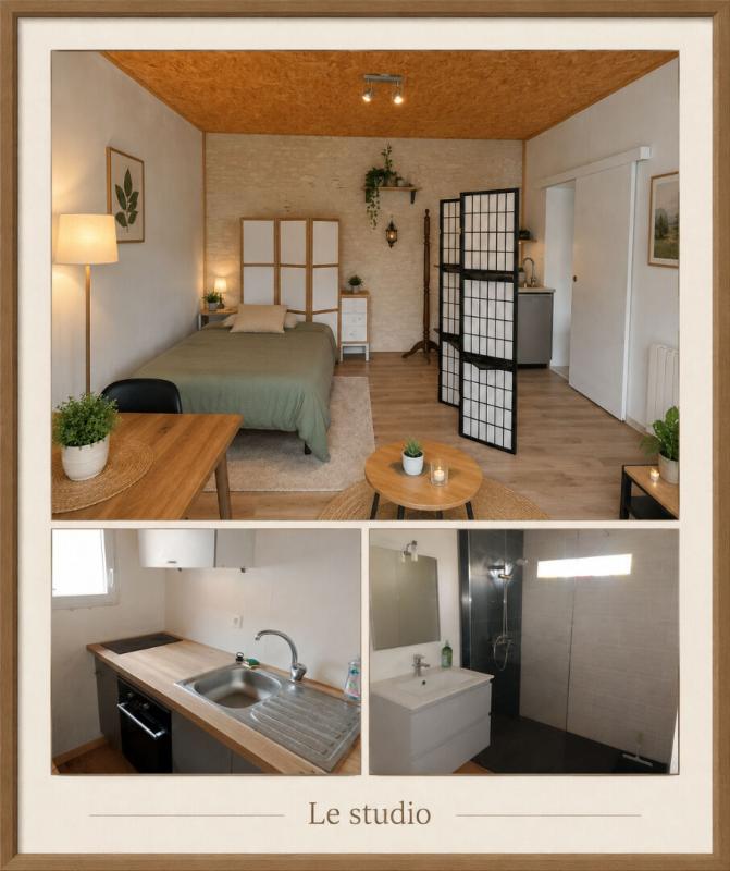SAINT-YRIEIX-SUR-CHARENTE Maison Saint Yrieix Sur Charente 170m2 terrain 3800m² 2