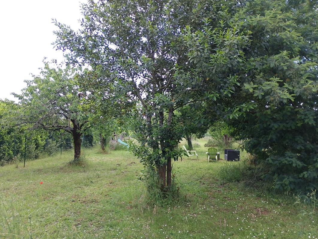 SAINT-YRIEIX-SUR-CHARENTE Maison Saint Yrieix Sur Charente 170m2 terrain 3800m² 3