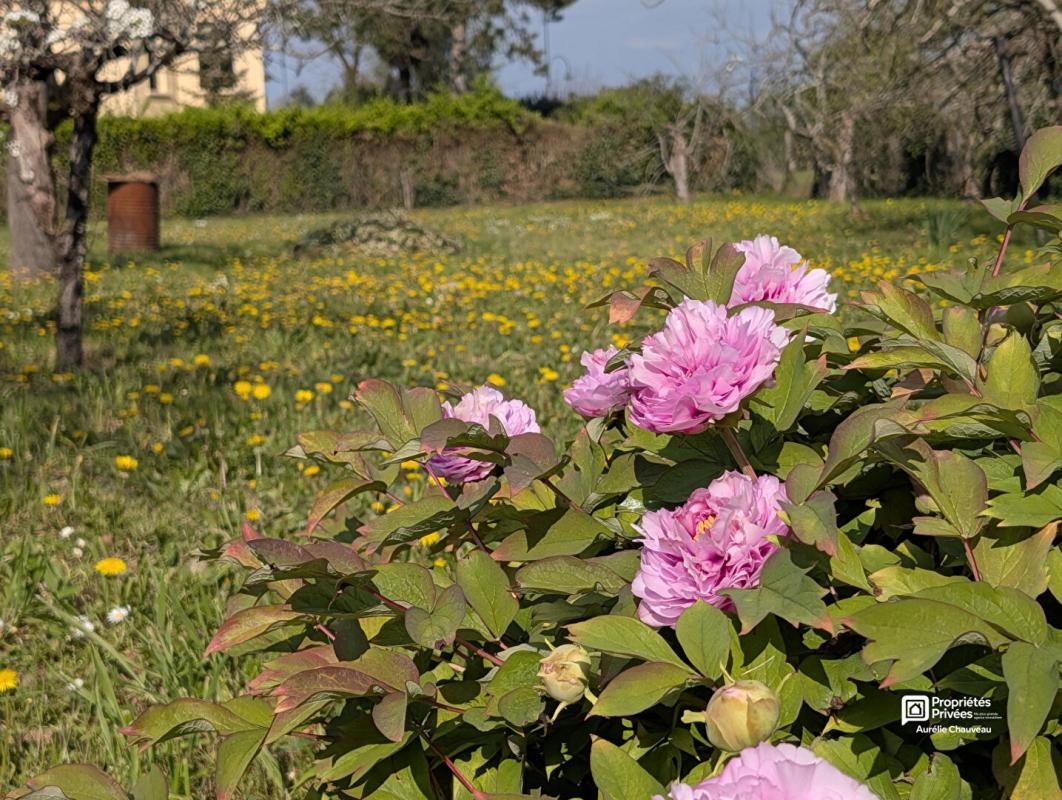 BERGERAC Maison Bergerac 7 pièce(s) 125 m2 16