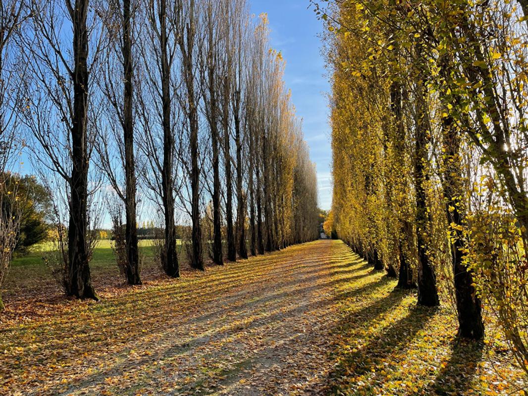 SIGLOY Exclusivité - Propriété avec beaucoup de cachet proche de Tigy ; Longère, Ecuries, piste d'entrainement, prés, bois et plan d'eau sur 20 hectares environ 18