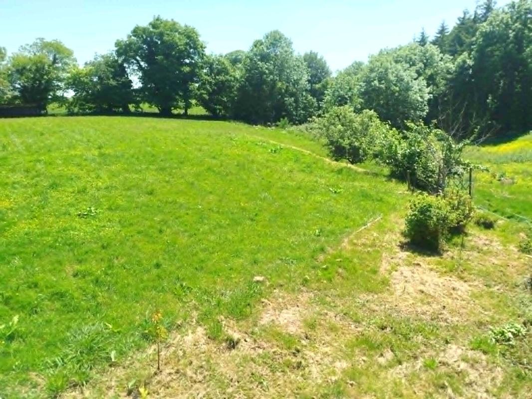 SEGLIEN Maison de campagne avec terrain 12