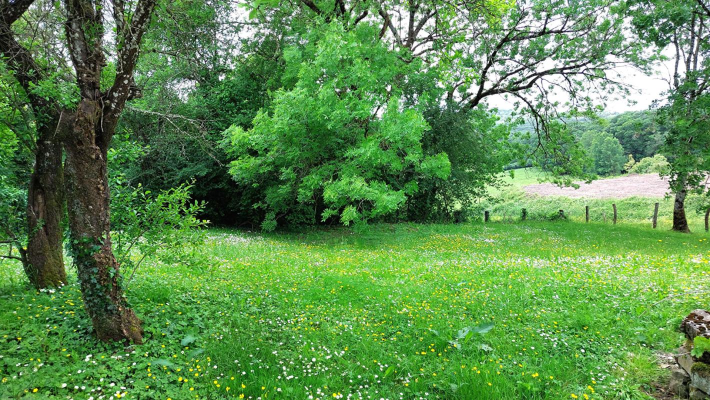 MONTDORE Maison indépendante jardin Montdoré 10