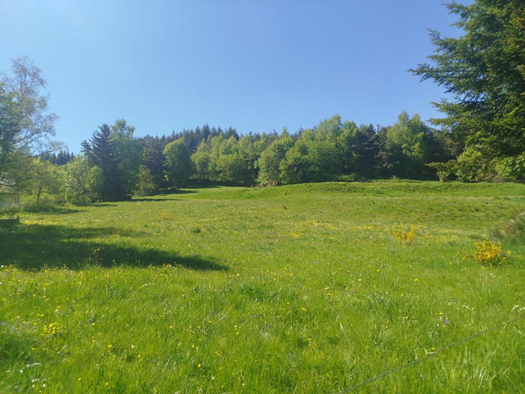 CHAUDEYRAC Terrain Constructible Chaudeyrac 6438m² 1