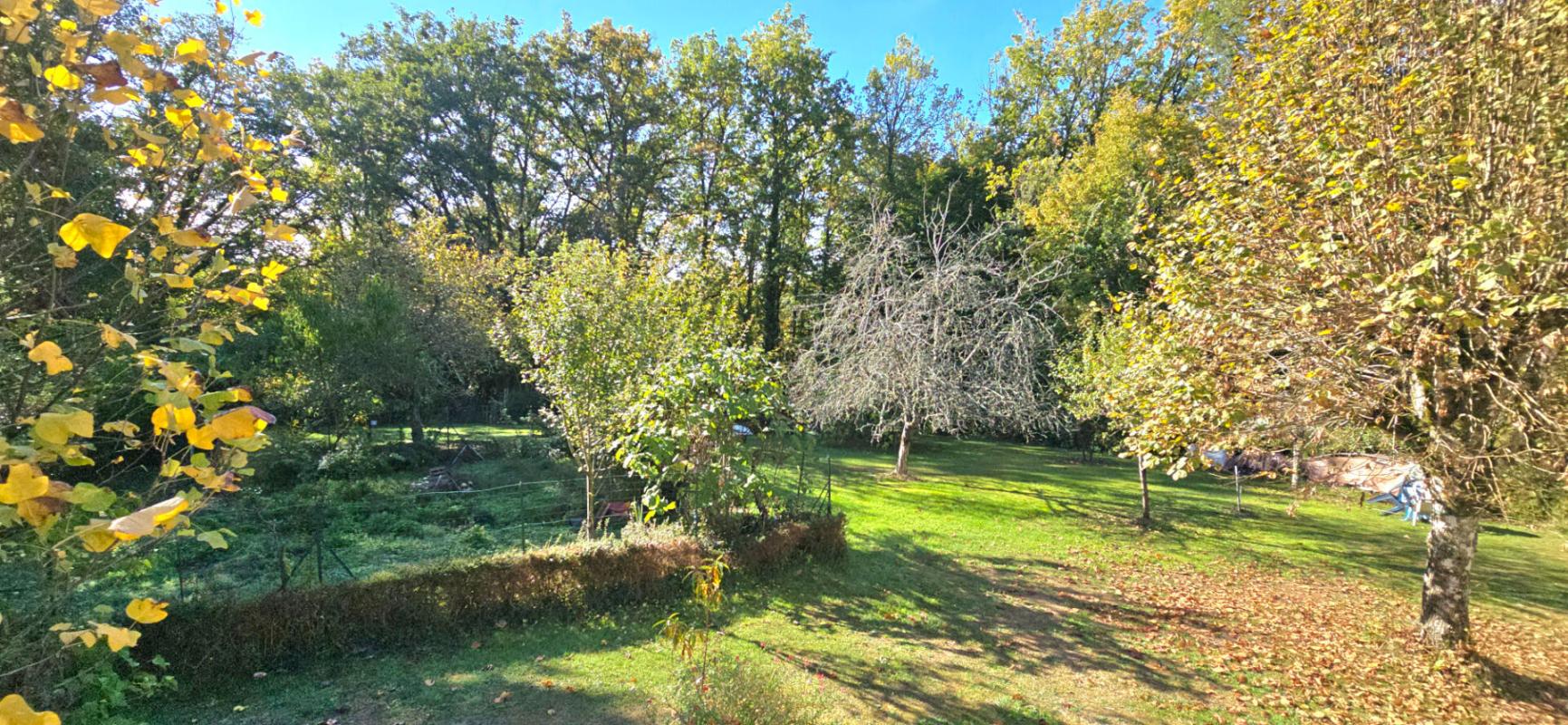 COULOUNIEIX-CHAMIERS Maison type 6 , sur sous-sol complet, terrain arboré de 5734 m² 5