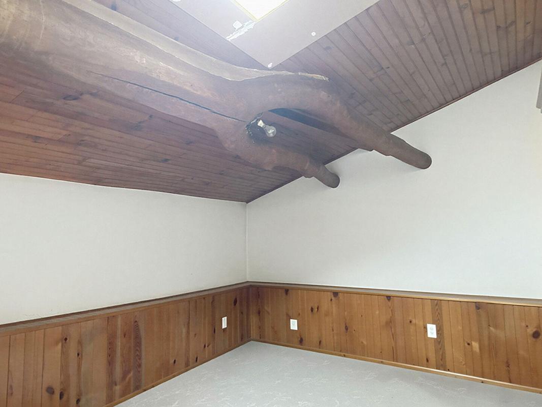 BENON Maison en pierre A RENOVER 129 m2- 4 chambres- grand chai- jardin 11